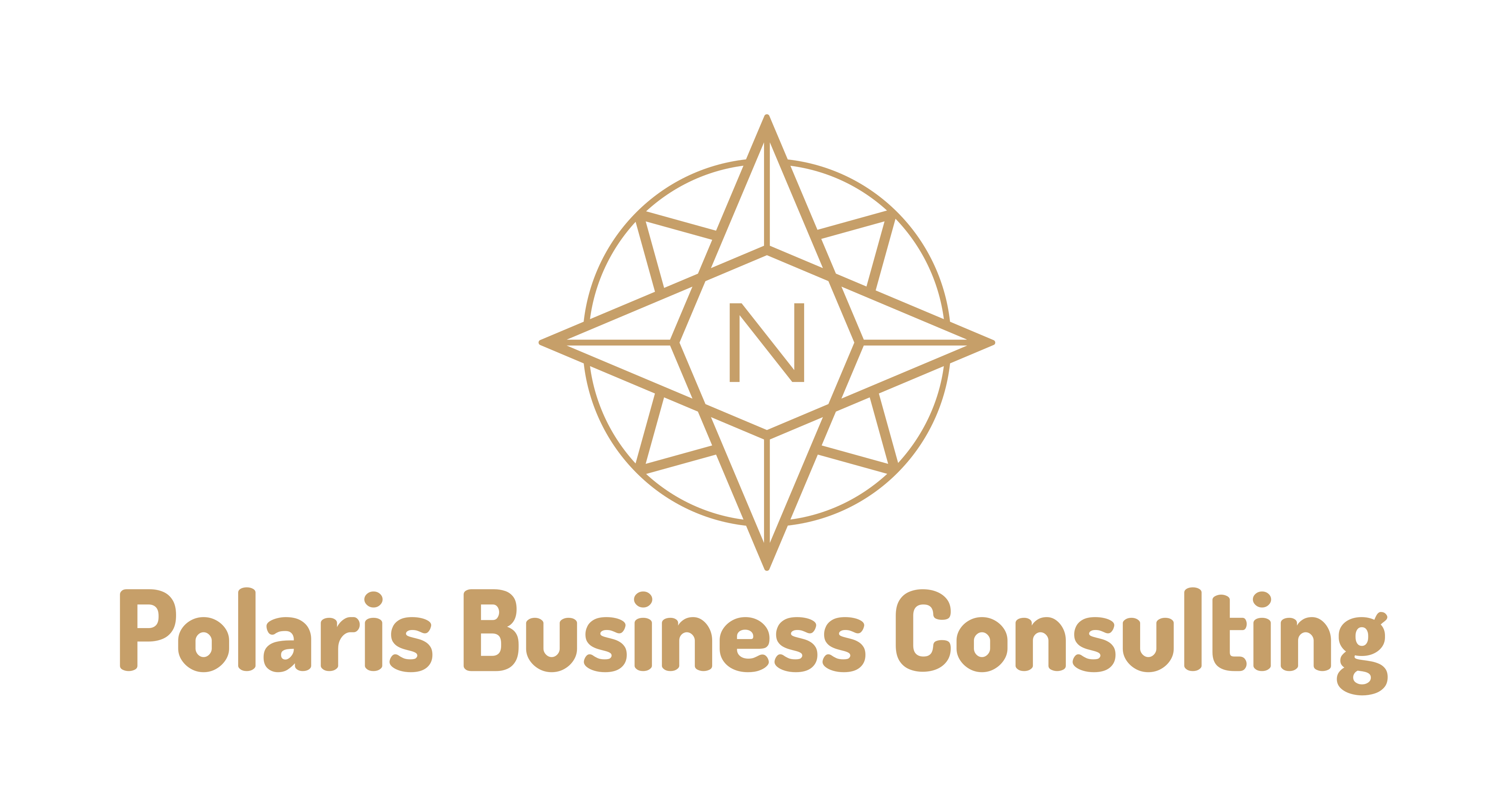 Polaris Business Consulting